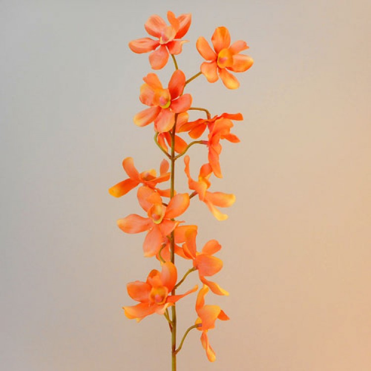 Significado de las orquídeas naranjas